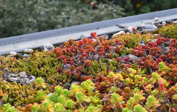 the cost of Den Of Lindores green roof installation
