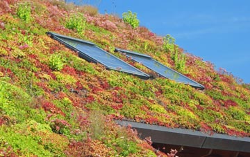 Den Of Lindores living roof systems