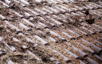 Den Of Lindores roof cleaning companies