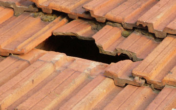 roof repair Den Of Lindores, Fife
